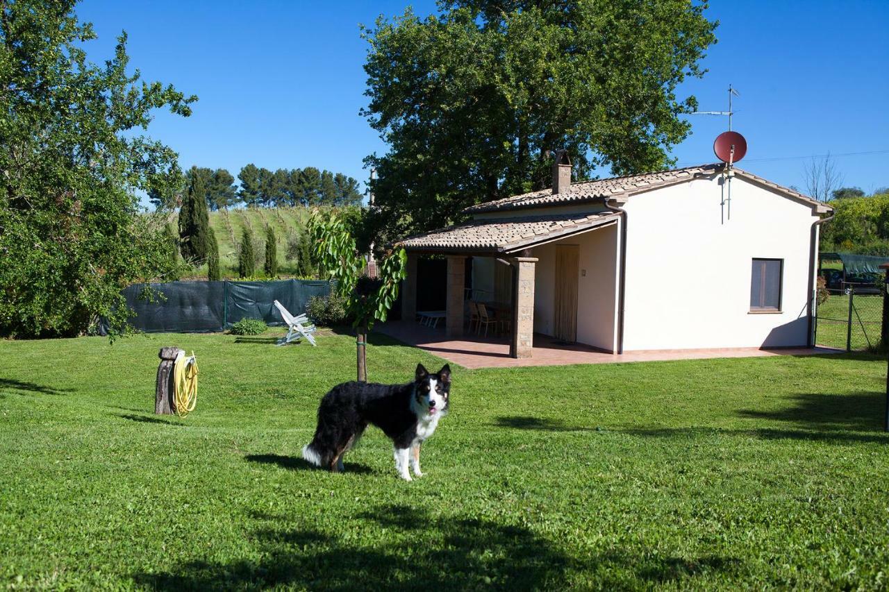 Casa Marta Villa Pitigliano Rom bilde